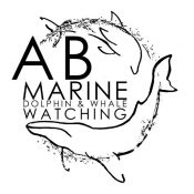 AB Marine Square 512