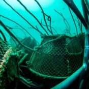 Baratz Shipwreck